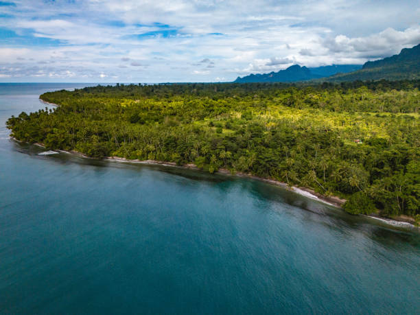 istock View of Seram Island, Maluku Province 2148305617