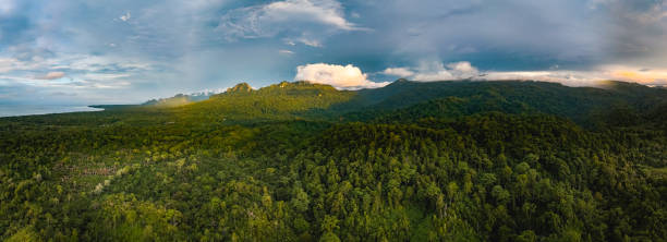 istock View of Seram Island, Maluku Province 2148305639