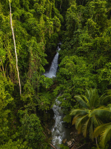 istock Tona Waterfall in Nuniali Village, West Seram, Maluku 2148305801