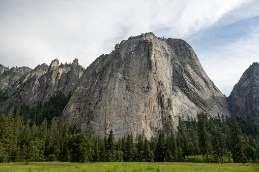 El Capitan Rises Above Green Fields of Yosemite Valley in Summer