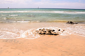 Sand Ocean Beach