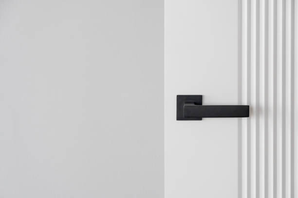 Modern black door handle on white wooden door in interior.