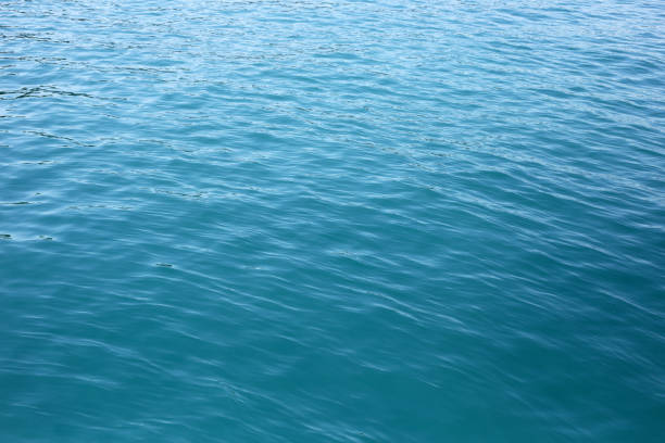 Summer time,  Beautiful blue sea