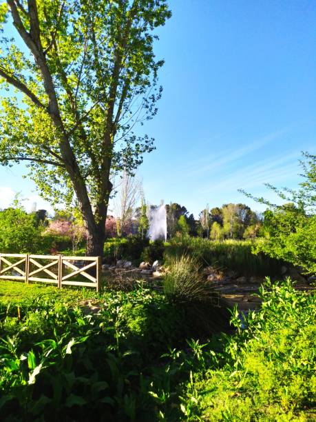 istock The natural park in its maximum splendor. 2148310866