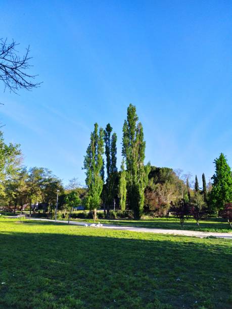 istock Colourful vegetation situated in a park. 2148310889