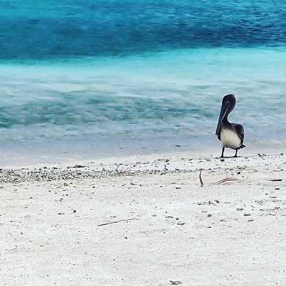 Playa en Curaçao