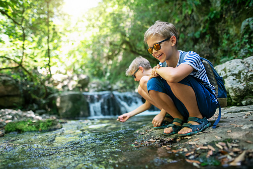 Family hiking in the mountains of Campania, Italy. Little boys are are playing with a little stream in the forest.\nShot with Nikon D850.