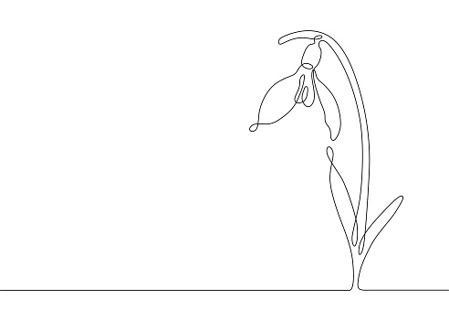 Single continuous line drawing of a spring ephemeral snowdrop flower. This vector illustration has an editable stroke for easy editing and copy space for text placement.