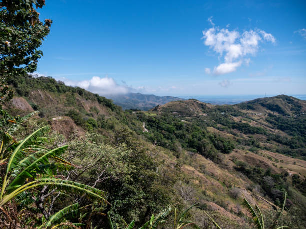istock Monteverde au Costa Rica 2148314030
