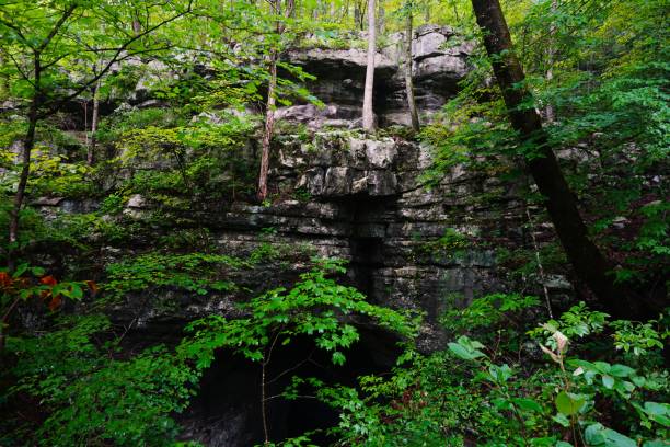 istock Natural forest surrounding the Stephens Gap  Cave Alabama 2148318640