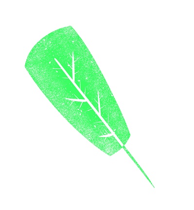 An Nature Illustration of a Cute Green Leaf