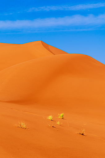 Erg Chebbi sand dunes, Sahara Desert,Morocco: Sand dunes in a sunny day close to Merzouga in sunny day