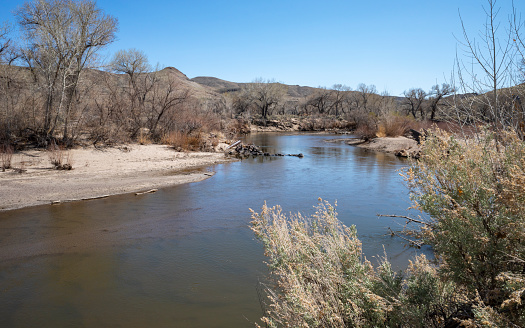 View of the Carson River, in Lyon County, Nevada, at low water, with sandbar, blue sky, and deciduous trees.