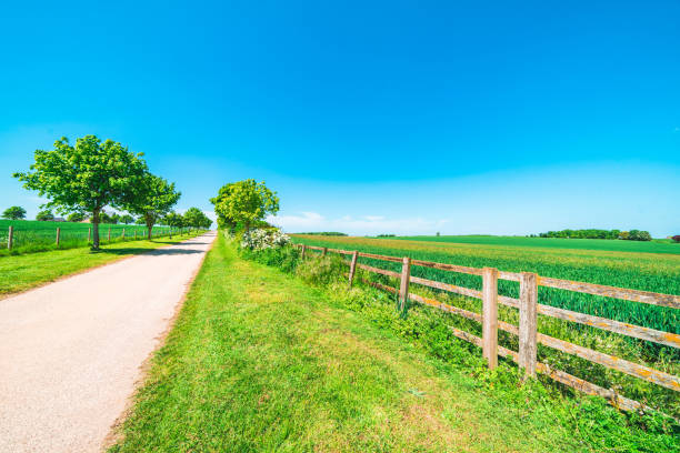 View of beautiful agricultural fields with clear blue sky in England