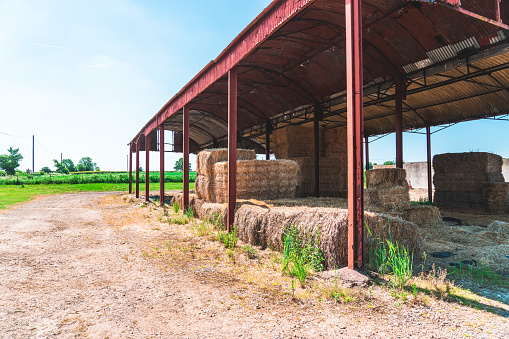 Straw bails in a modern barn