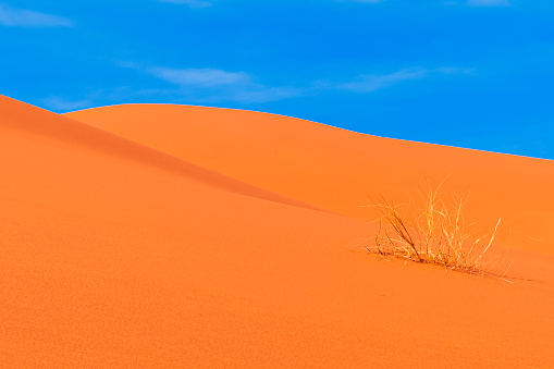 Erg Chebbi sand dunes, Sahara Desert,Morocco: Sand dunes in a sunny day close to Merzouga, North Africa