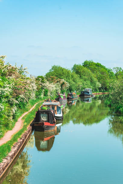 istock A beautiful scenic view of green trees alongside a river under a blue sky 2148323473