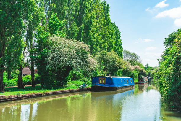istock A beautiful scenic view of green trees alongside a river under a blue sky 2148323506