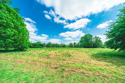 Cytadela Park, green field with blue sky in Poznan, Poland