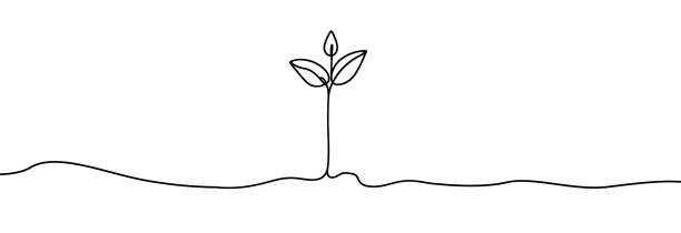 growing sprout one line art .vector silhouette of growing plant. hand drawn leaf. growing sprout plant continuous line .plant with roots single line. - 2649 stock illustrations