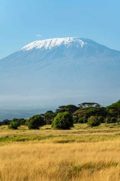 istock kilimanjaro kenya national park 2148324656