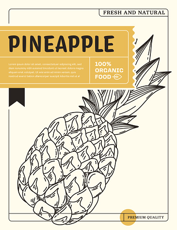 Pineapple Sketch Icon Package Design Template