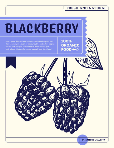 Blackberry Sketch Icon Package Design Template