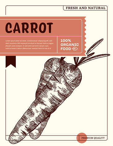 Carrot Sketch Icon Package Design Template