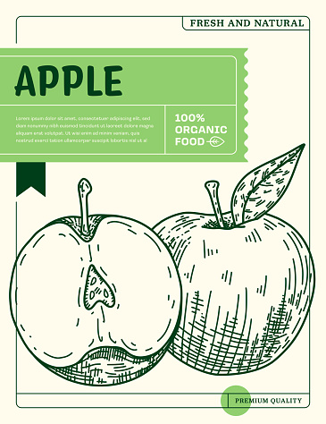 Sketch Vector Icon of Organic Fruit Apple for Package Design Template