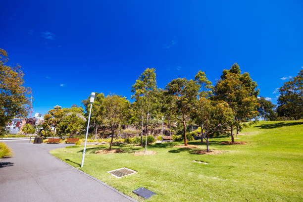 istock Sydney Harbour and Barangaroo Reserve in Australia 2148326834