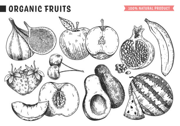 Icons Set of Organic Fruits in sketch style. vector hand drawn icons for web, mobile and print