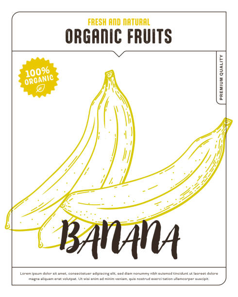 Banana Sketch Icon Package Design Template