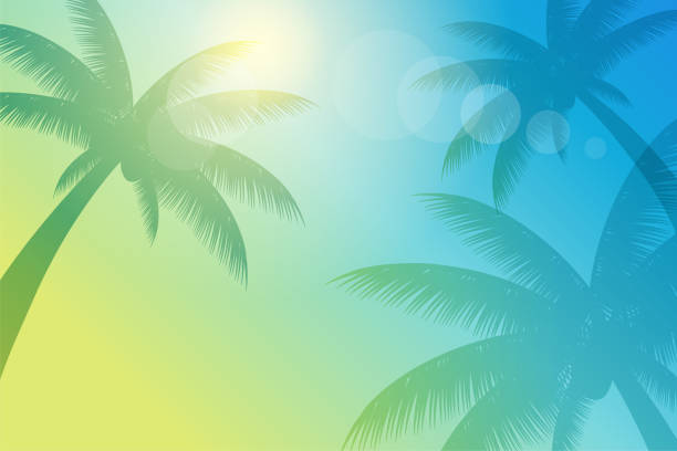 Midsummer palm tree image background_vector illustration