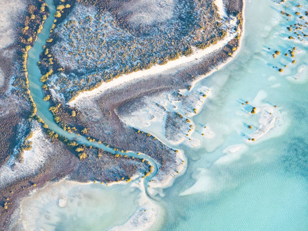 istock Beautiful remote coastal inlet and mangroves from above 2148329159