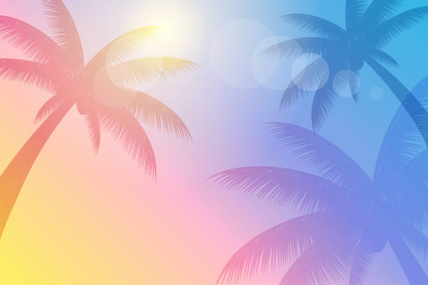 ilustraciones, imágenes clip art, dibujos animados e iconos de stock de ilustración de la imagen background_vector de la palmera del solsticio de verano - lugar turístico