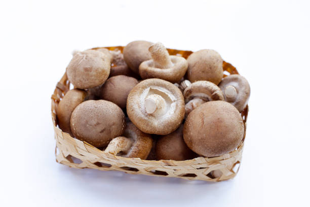 istock Fresh shiitake mushrooms on white background. 2148329769