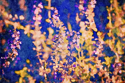 This is my photographic image of Lavender flowers in sunlight in a watercolour effect. Because sometimes you might want a more illustrative image for an organic look.
