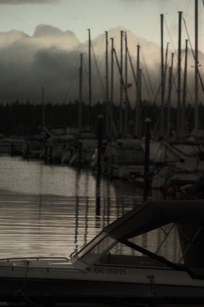 Masts shoot up high as the sun sets over the harbor