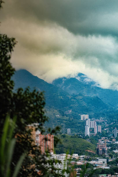 Plants in the foreground with a cityscape in the middle, mountains and clouds in the background