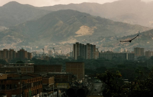 Medellin cityscape with large bird aloft in the foreground and a mountain range in the background