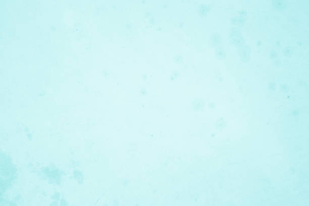Pastel blue and white concrete stone texture for background in summer wallpaper. Cement and sand wall of tone vintage. Decorative abstract wall of light cyan color painted, Beautiful mint green decor.