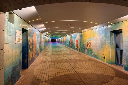 February 19, 2024, Abu Dhabi. United Arab Emirates: graffiti underpass in Abu Dhabi, United Arab Emirates. a tunnel underground for pedestrians.