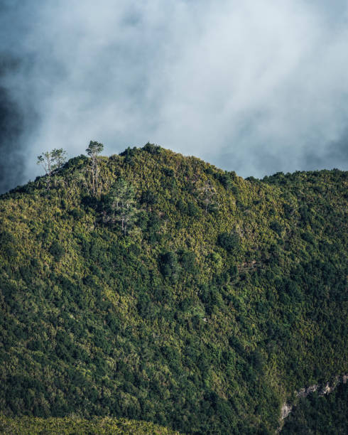 istock view of Pico Ruivo & Nuns valley 2148334427