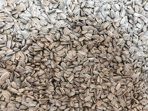 istock Close-up Texture of Sunflower Seeds 2148334551
