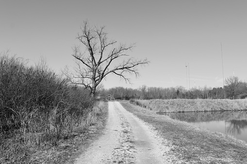 The long empty gravel country in a black and white photo.
