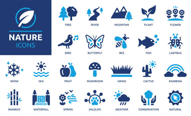 bildbanksillustrationer, clip art samt tecknat material och ikoner med nature icon set. vector illustration. - vilda djur