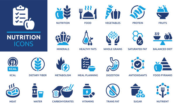 Nutrition icon set, vector illustration. Containing food, vegetables, water, meal planning, fruits, dietary fiber, protein, vitamins, healthy fats and carbohydrate icons. Solid icon collection. nutrients icon stock illustrations
