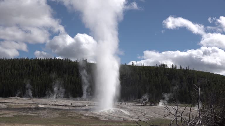 Geyser erupts in Yellowstone National Park in Wyoming, USA