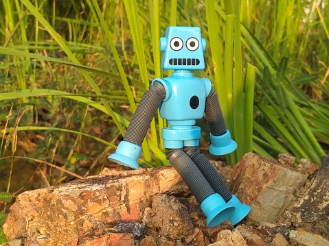 A robot is sitting and basking in the morning sun amidst beautiful nature.