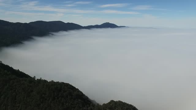 Flying over the cloud forest of Oaxaca, Mexico